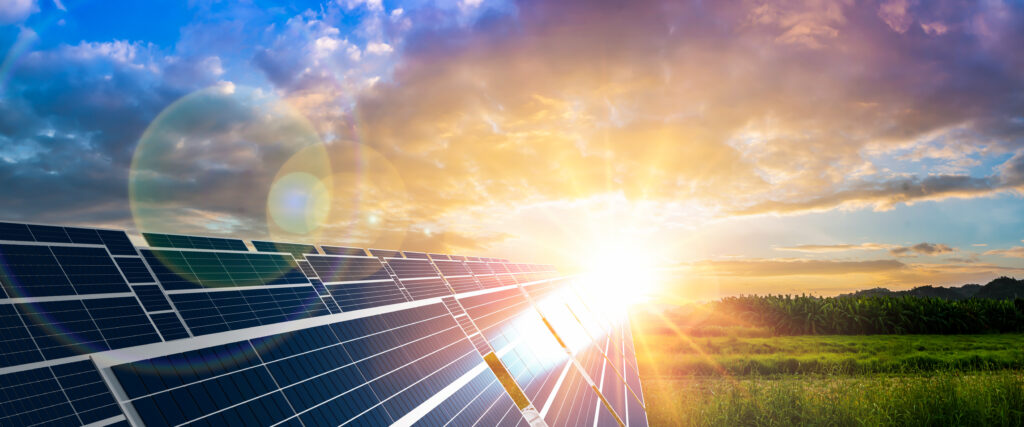 AdobeStock 397844599 1024x427 - Die Bedeutung von Energieeffizienz in der Landwirtschaft: Photovoltaik als Schlüssel zur nachhaltigen Produktion
